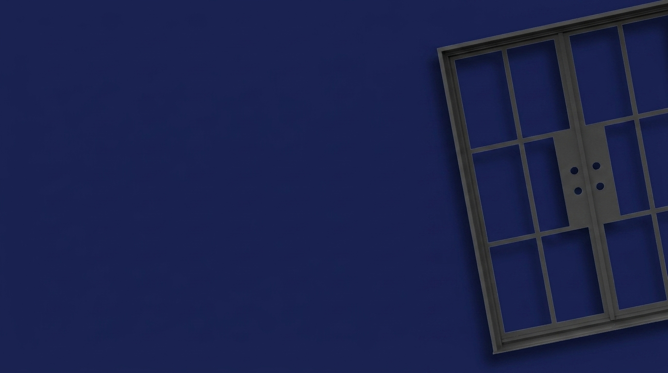 Home Center Outlet French Steel Doors — black steel entry doors