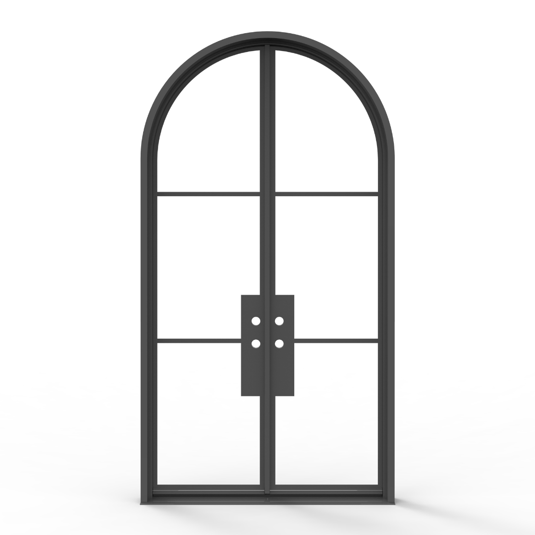 Black French Steel Door with Glass