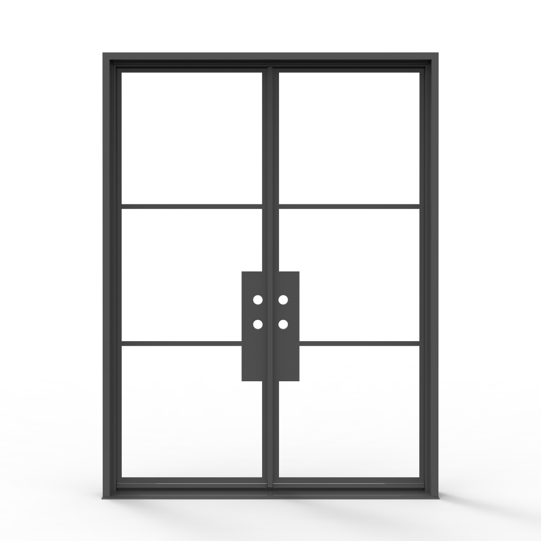 Black French Steel Door with Glass