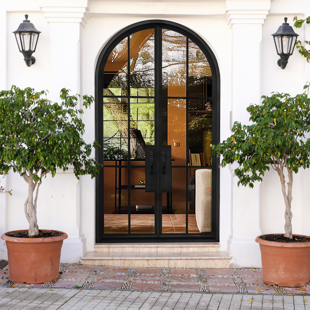 Black arched door with glass panels flanked by two potted plants on a white building exterior.