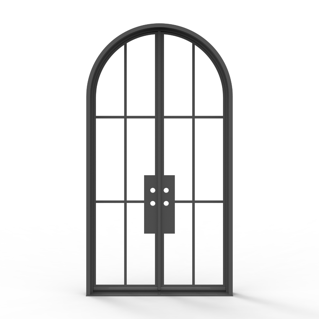 Black French Steel Door with Glass