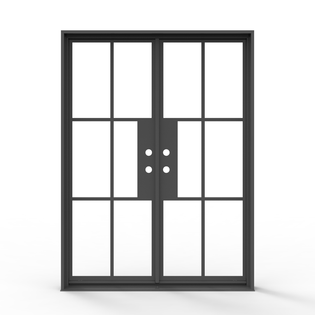 Black French Steel Door with Glass