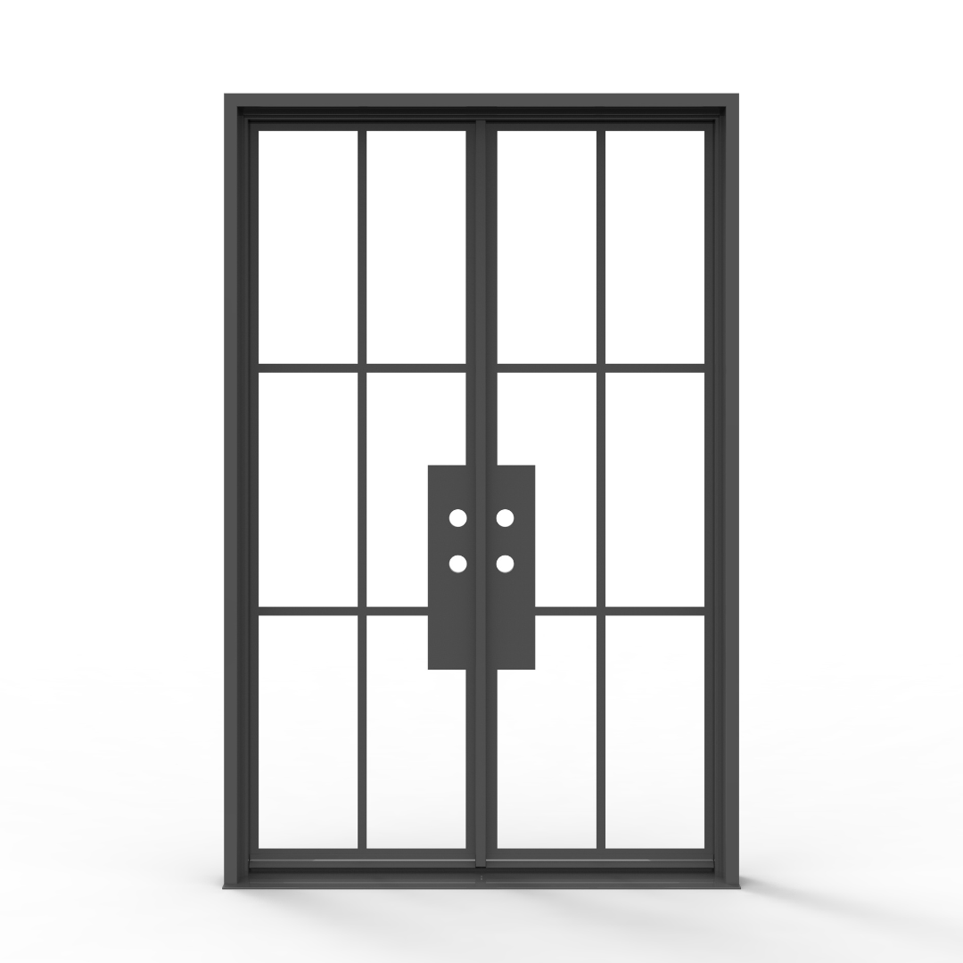 Black French Steel Door with Glass