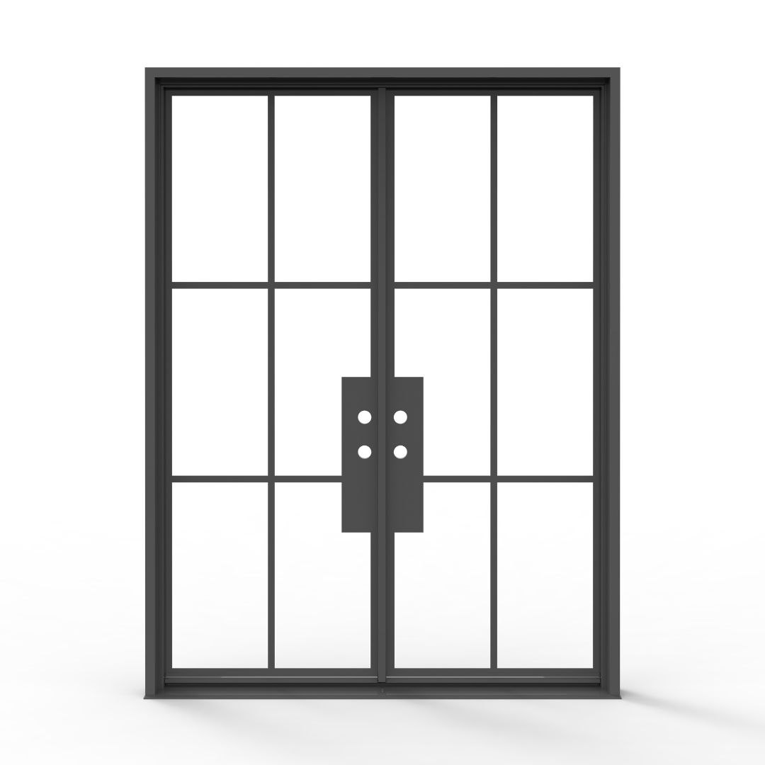 Black French Steel Door with Glass