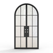 8 lite french steel double door, exterior view, black finish, flemish glass, modern