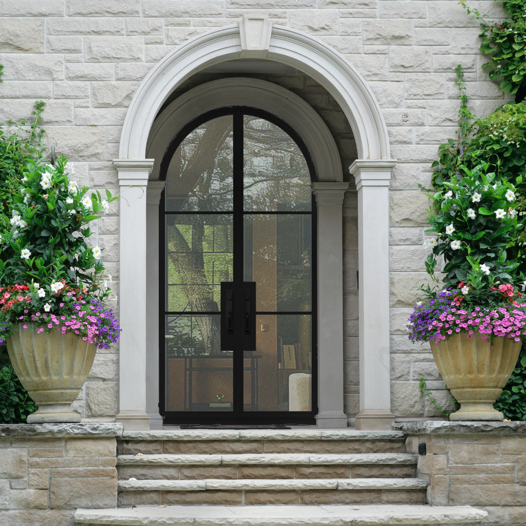 Black French Steel Door with Glass