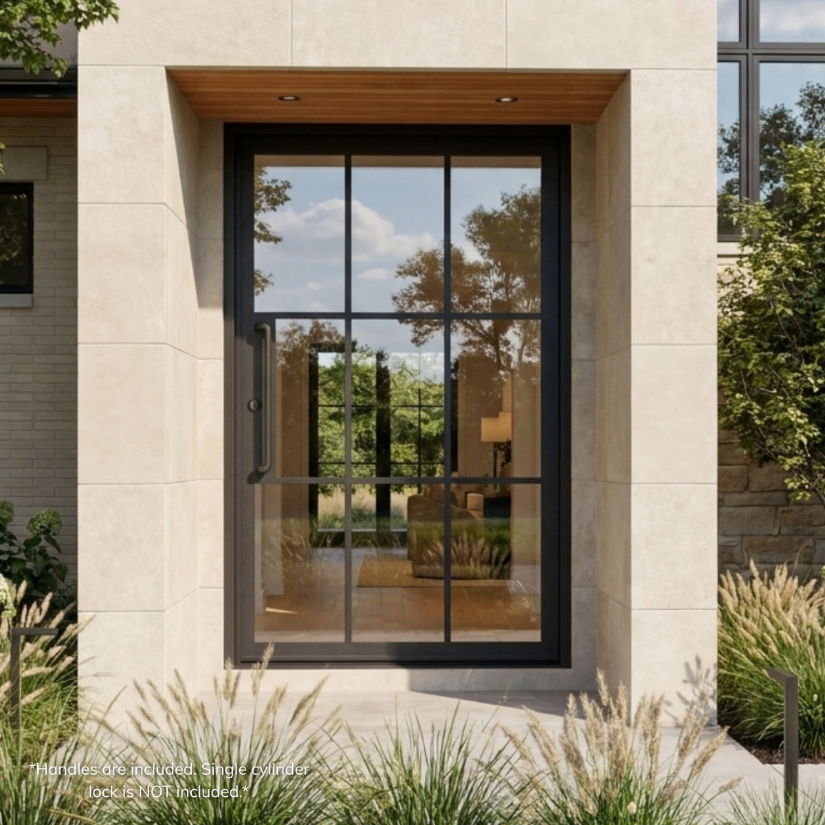 Wrought iron 9-lite pivot entry door, matte black finish with full divided-lite clear glass, installed on a modern white home exterior