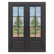 Alexues® Series 6 Lite Double Door; Inswing; 73.5 in. x 81.5 in.
